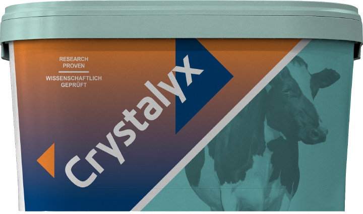 CRYSTALYX Organyx Garlic (Mint)